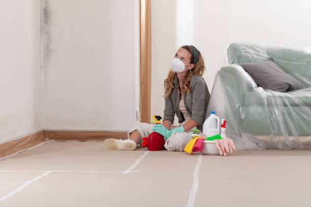 Reliable Mold Remediation contractor in Woodinville, WA by 24 Hour Mold Removal